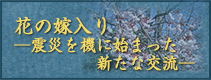 熊谷桜の育て方とよくある質問
